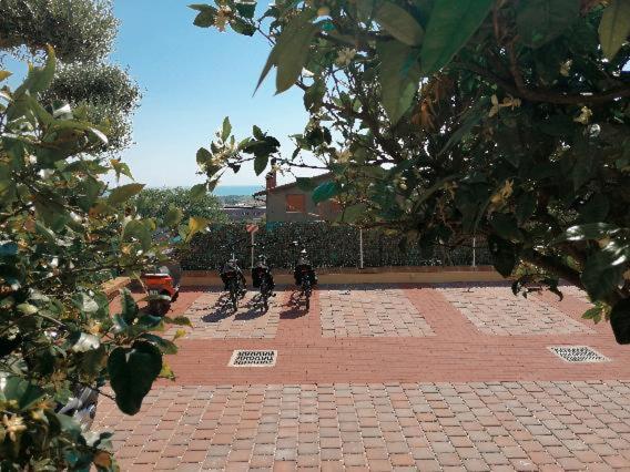 Dimora Effe - Eco B&B Termoli Zewnętrze zdjęcie